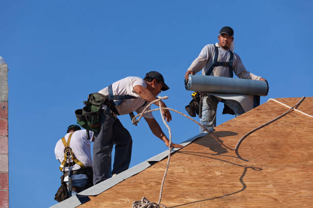 Best Roof Waterproofing Services  in Richlands, NC